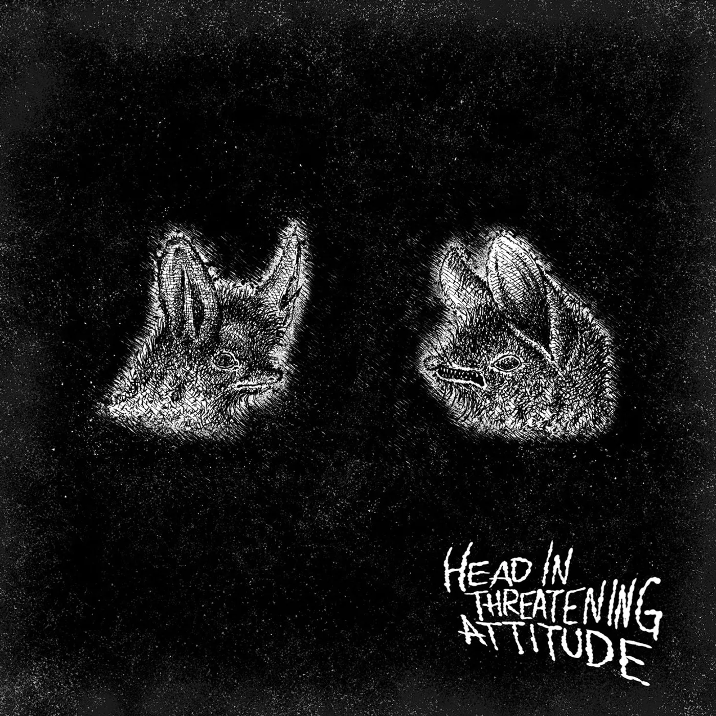 Natterers LP - Head In Threatening Attitude (Vinyl)