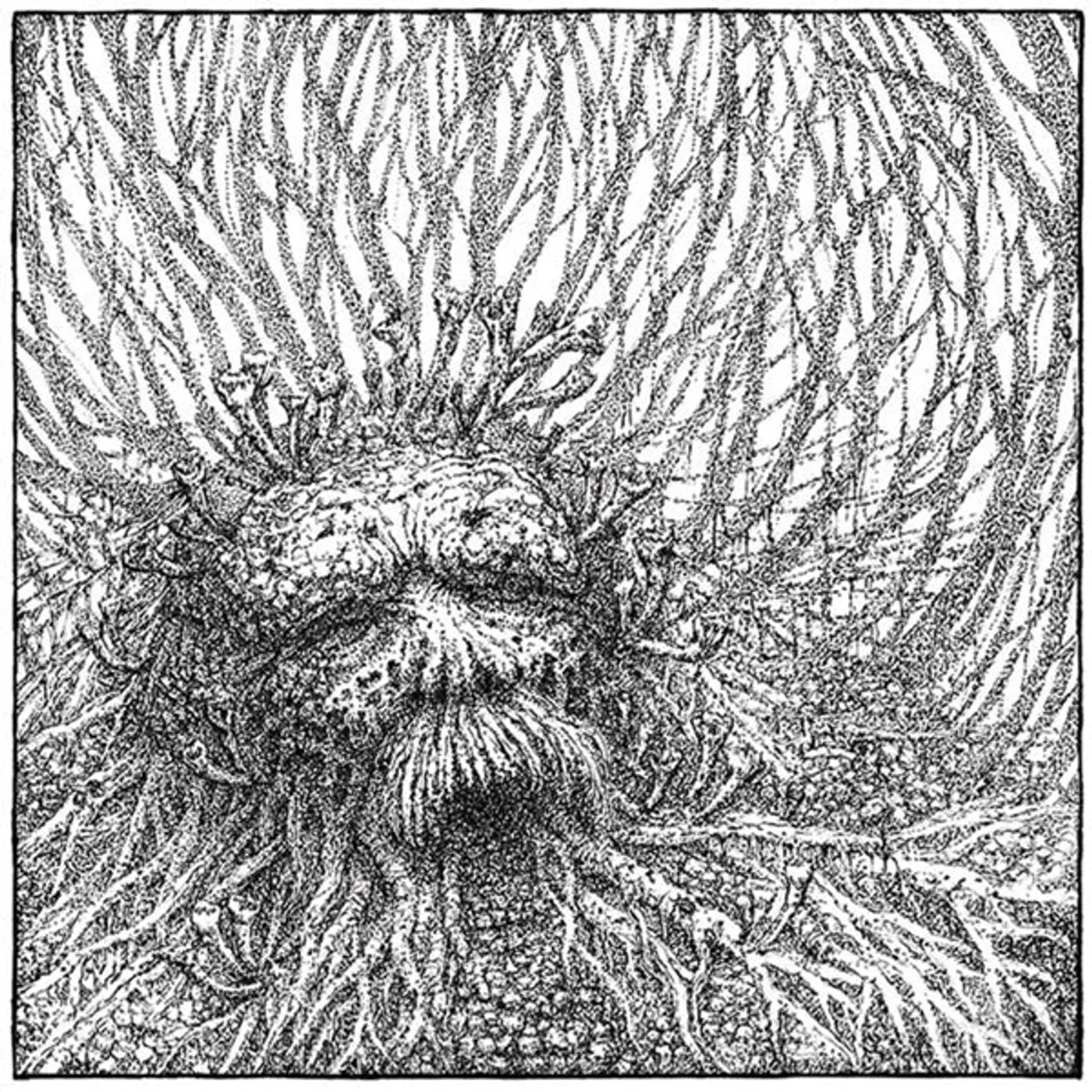 Nemorous LP - Nemorous (White/Black Vinyl)