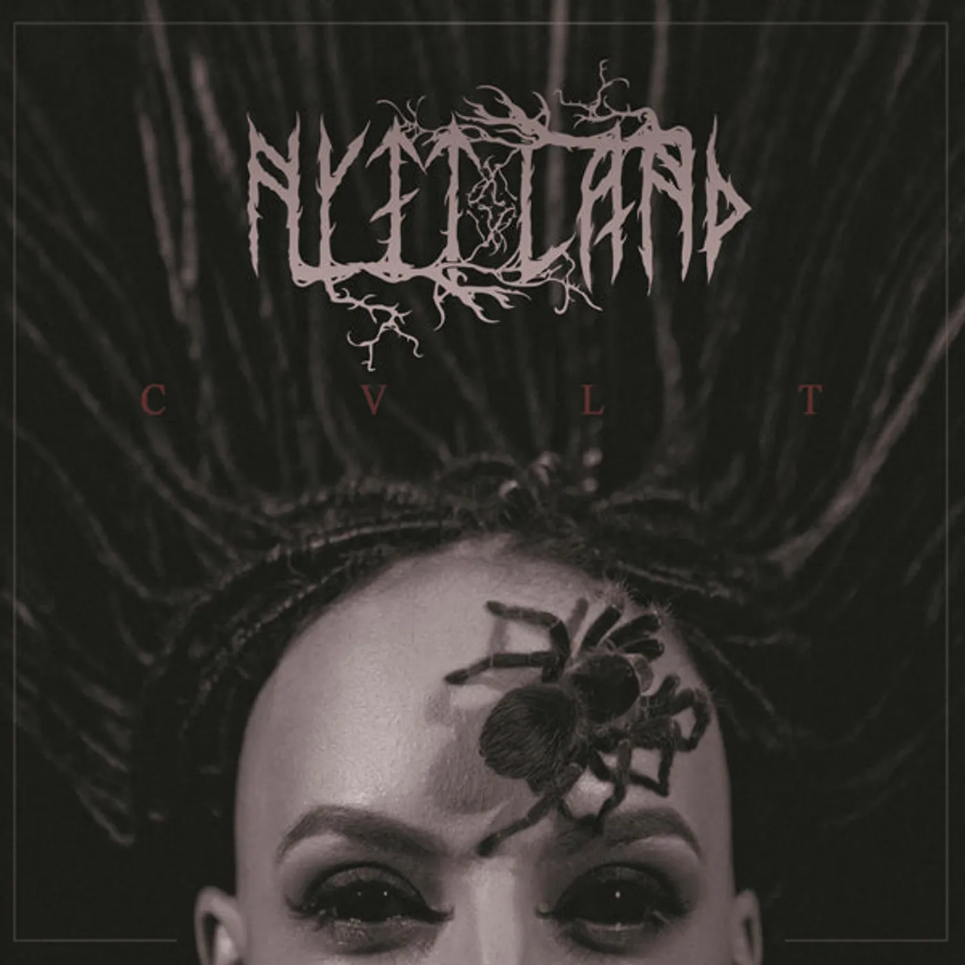 Nytt Land LP - Cvlt (Vinyl)