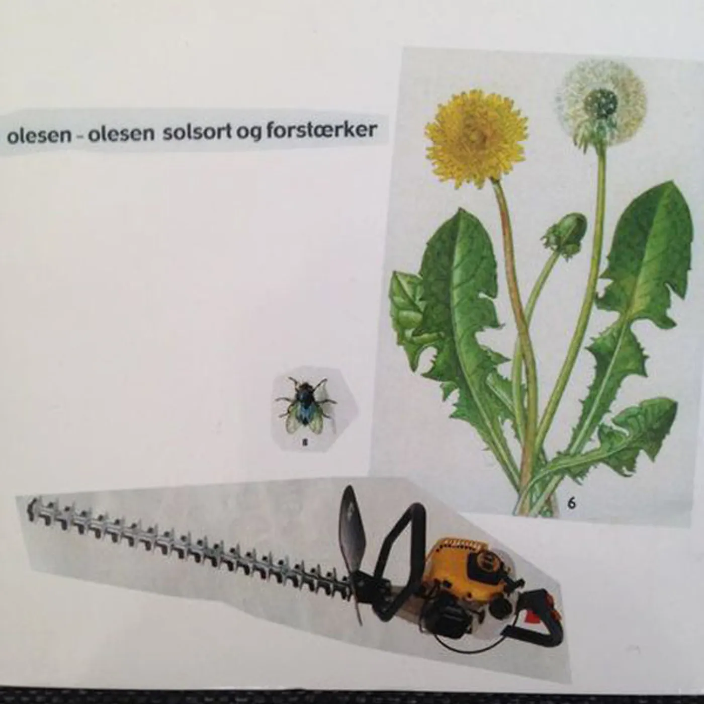 Olesen-Olesen LP - Solsort Og Forstaerker (Vinyl)
