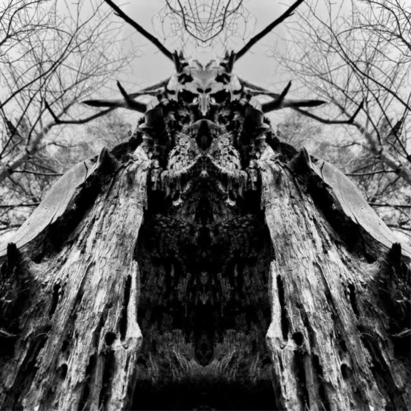 Rulaman LP - To Serve The Dune (Trans Green Vinyl)