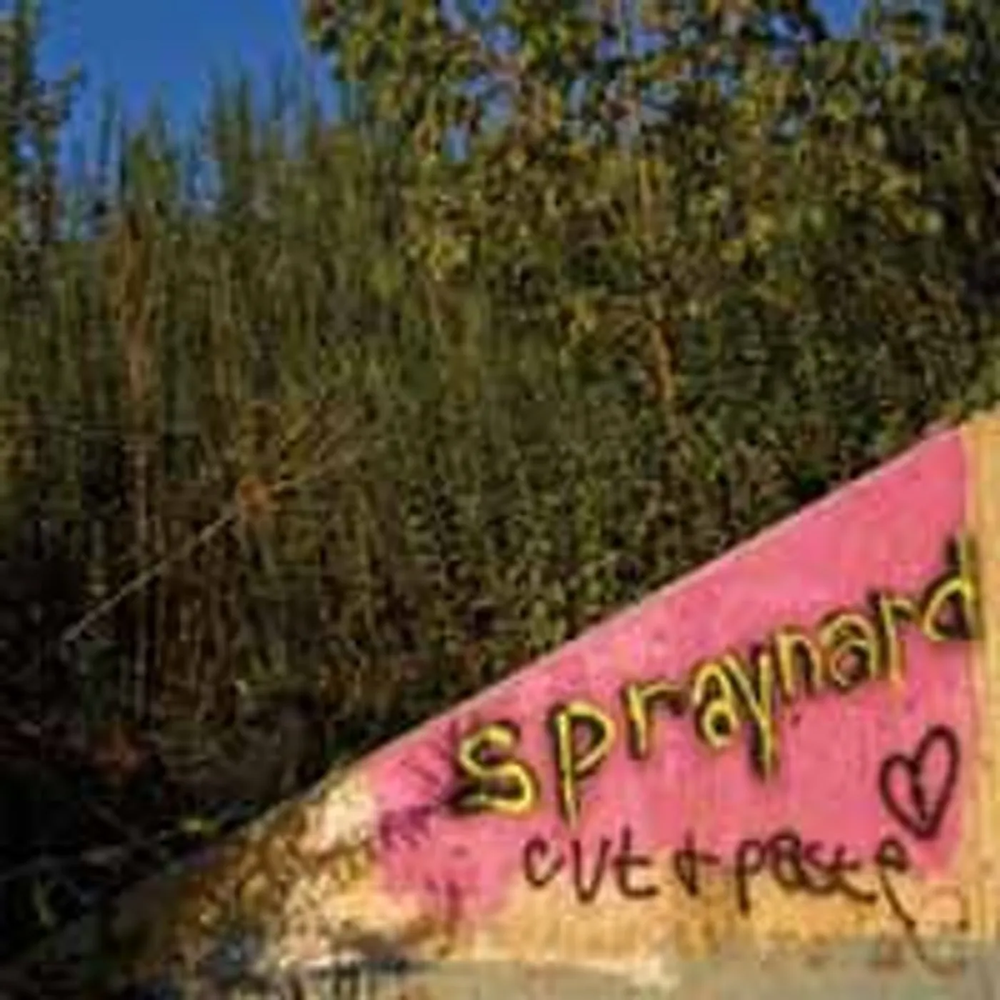 Spraynard LP - Cut And Paste (Vinyl)