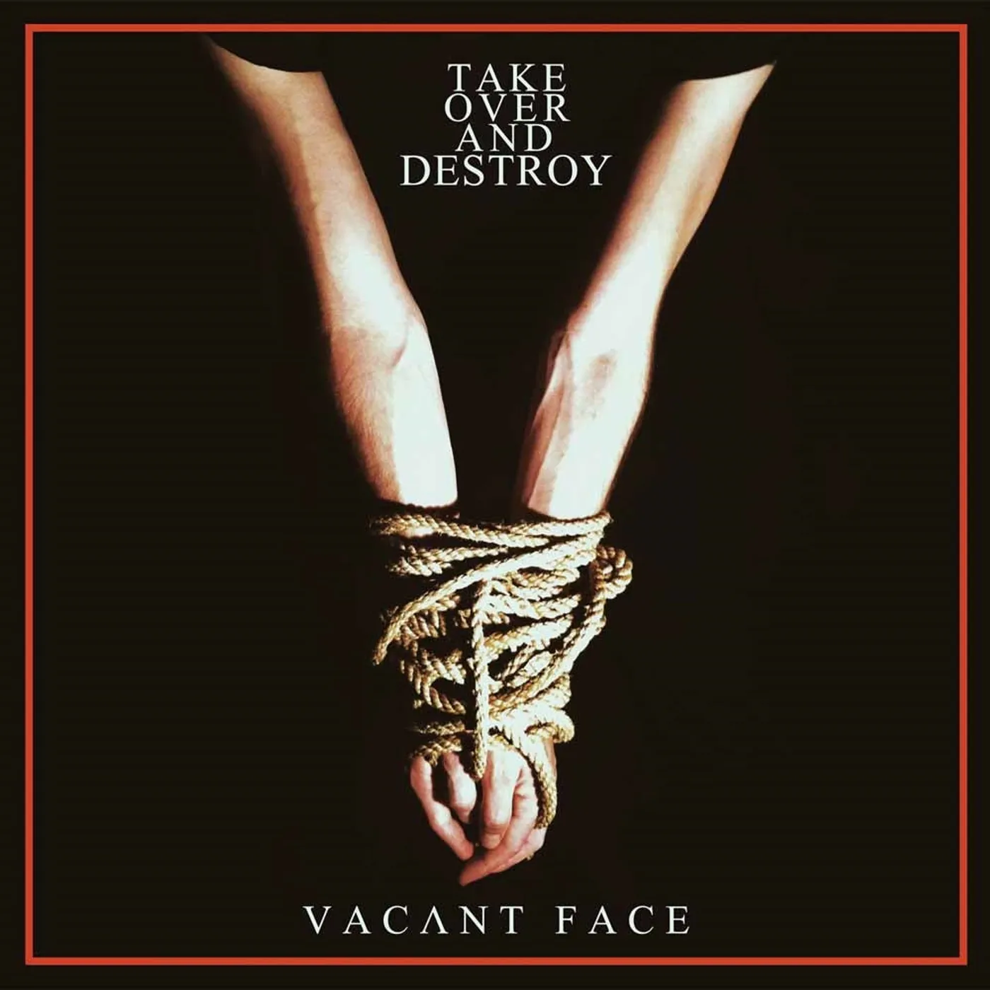 Take Over And Destroy LP - Vacant Face (Vinyl)