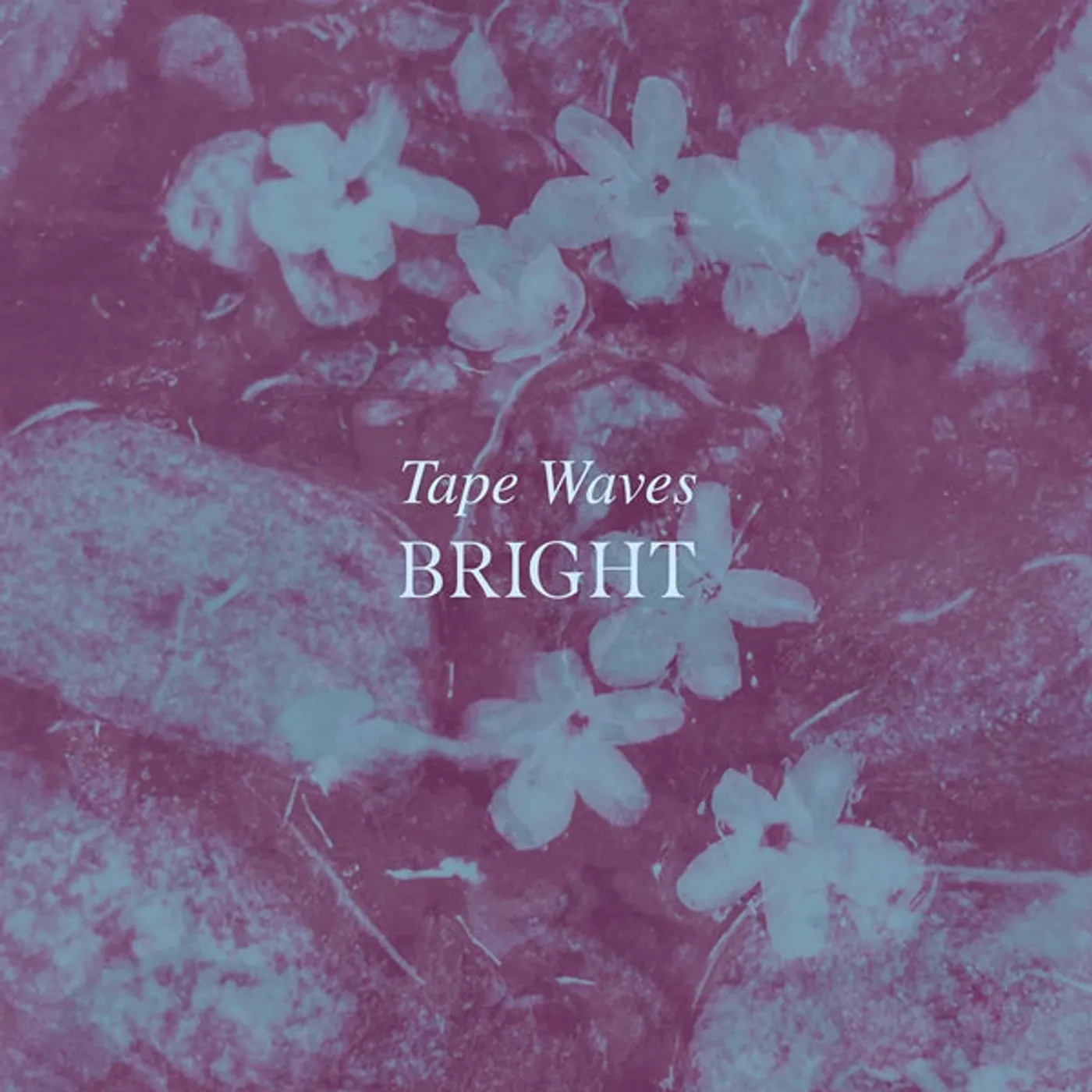Tape Waves LP - Bright (Vinyl)