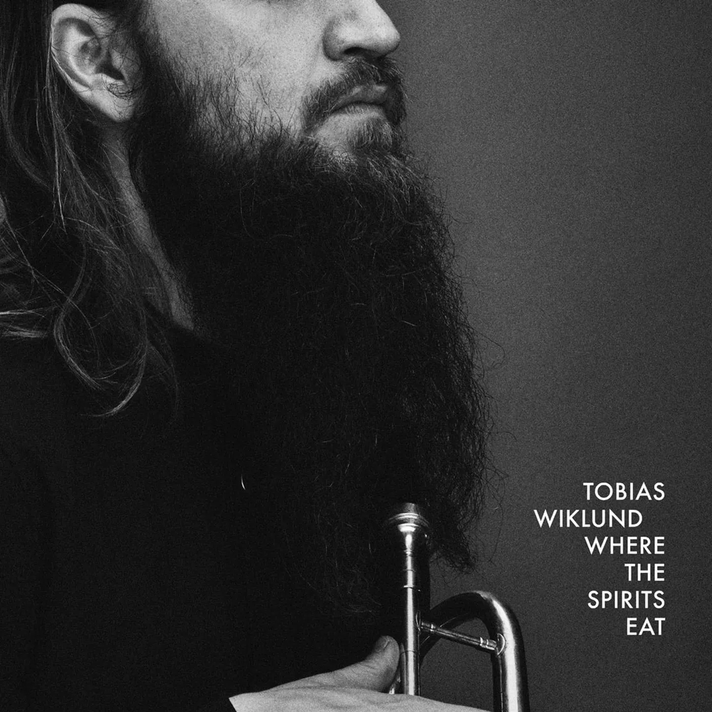 Tobias Wiklund LP - Where The Spirits Eat (Vinyl)