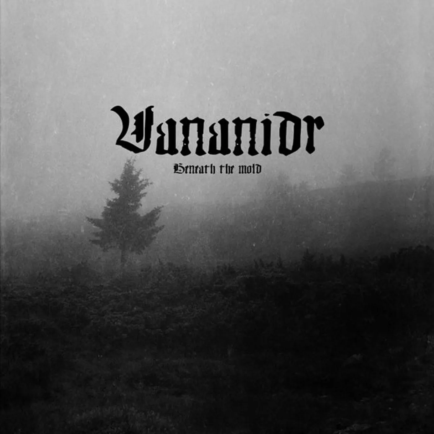 Vananidr LP - Beneath The Mold (Vinyl)