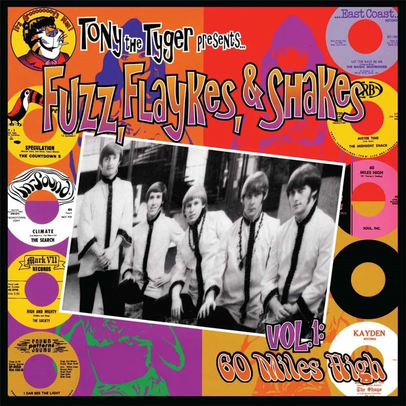 Various Artists LP - Fuzz, Flaykes And Shakes (Vinyl)