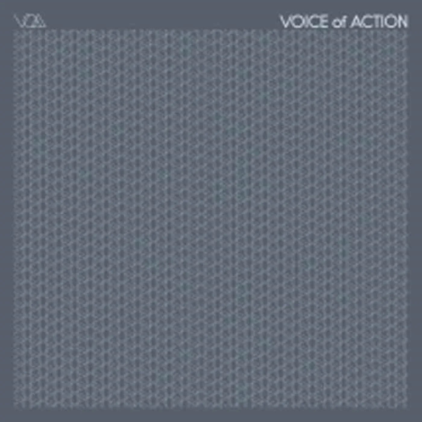 Voice Of Action LP - Voice Of Action (Vinyl)