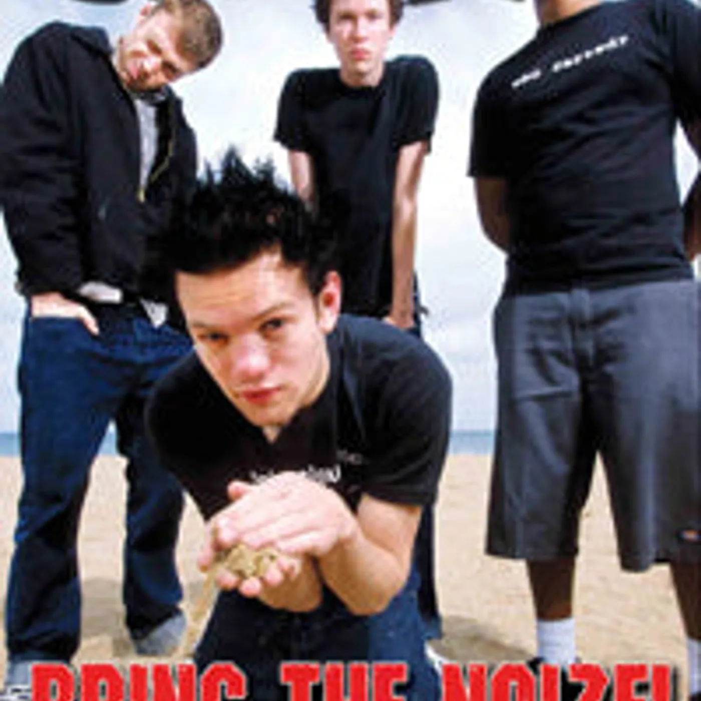 Sum 41 DVD - Sum 41-Bring The Noize