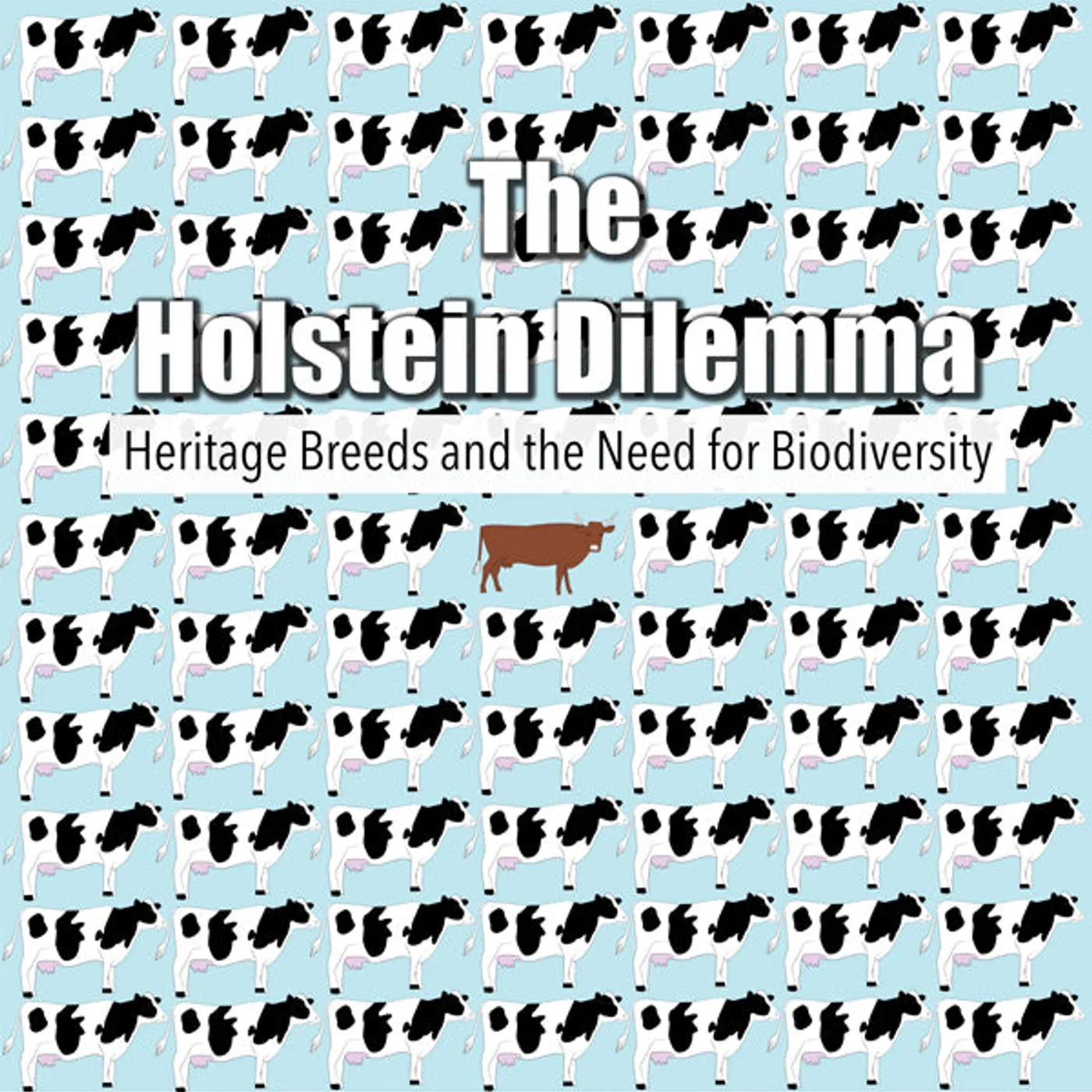 Feature Film DVD - The Holstein Dilemma