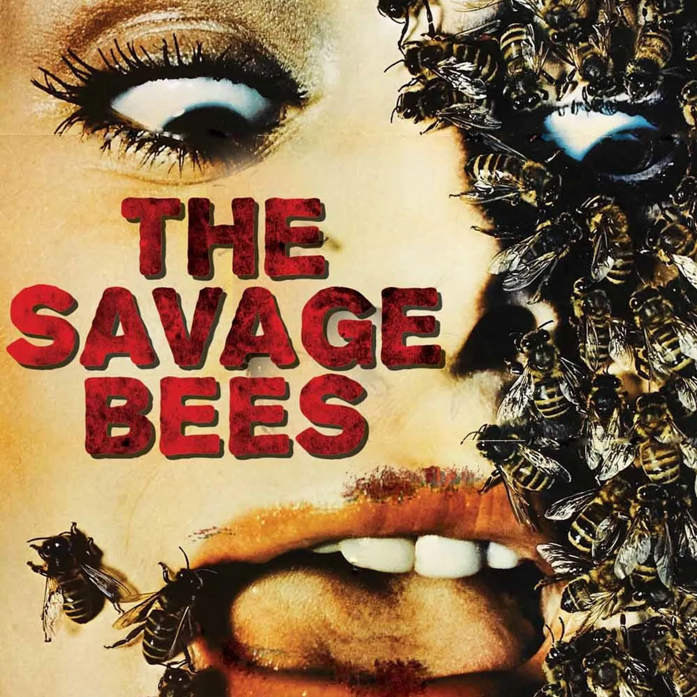 Feature Film DVD - The Savage Bees