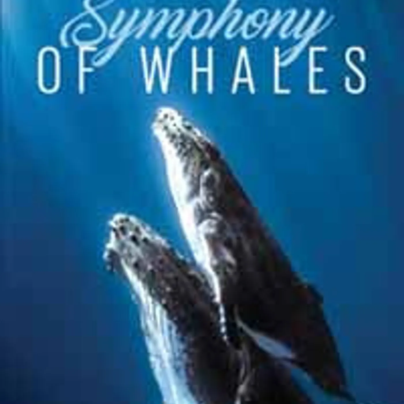 Various Artists DVD - Relax: Symphony Of Whales