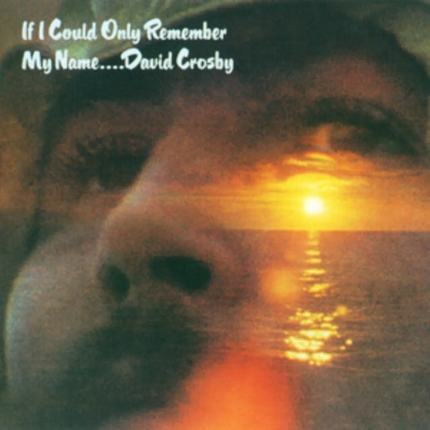 David Crosby CD - If I Could Only Remember My Name