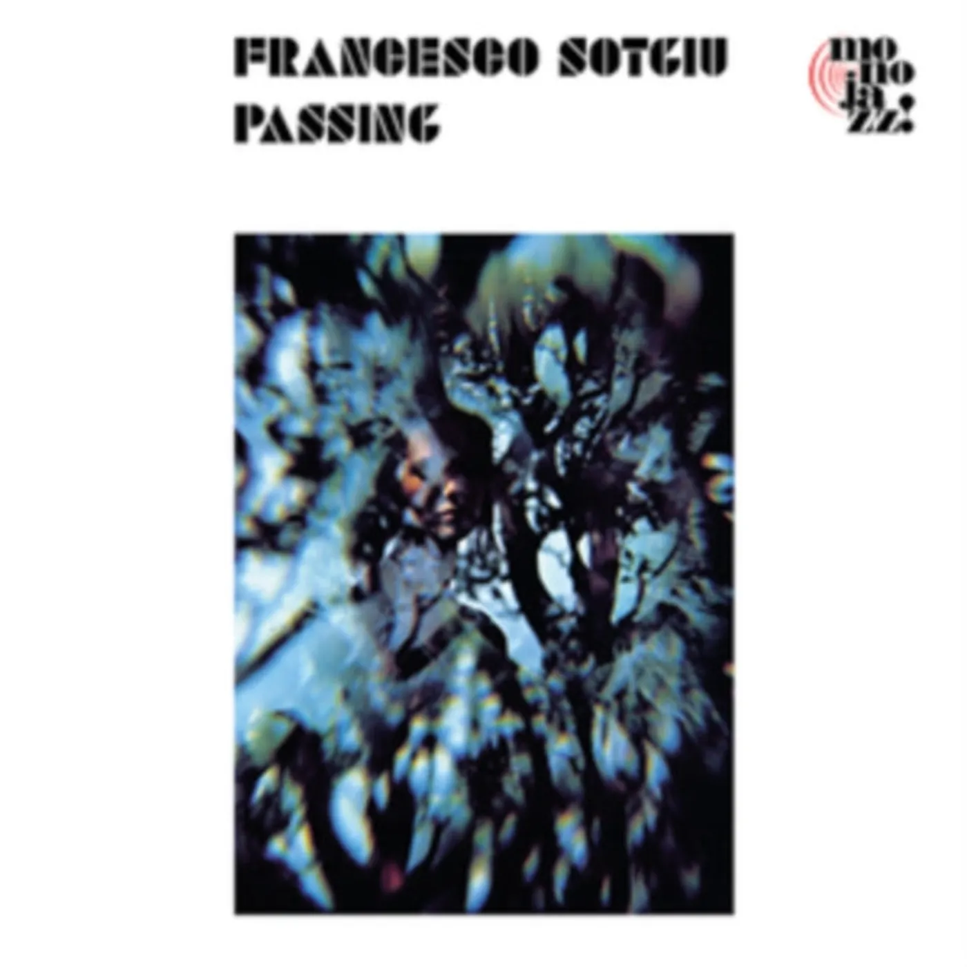Francesco Sotgiu LP - Passing (Vinyl)