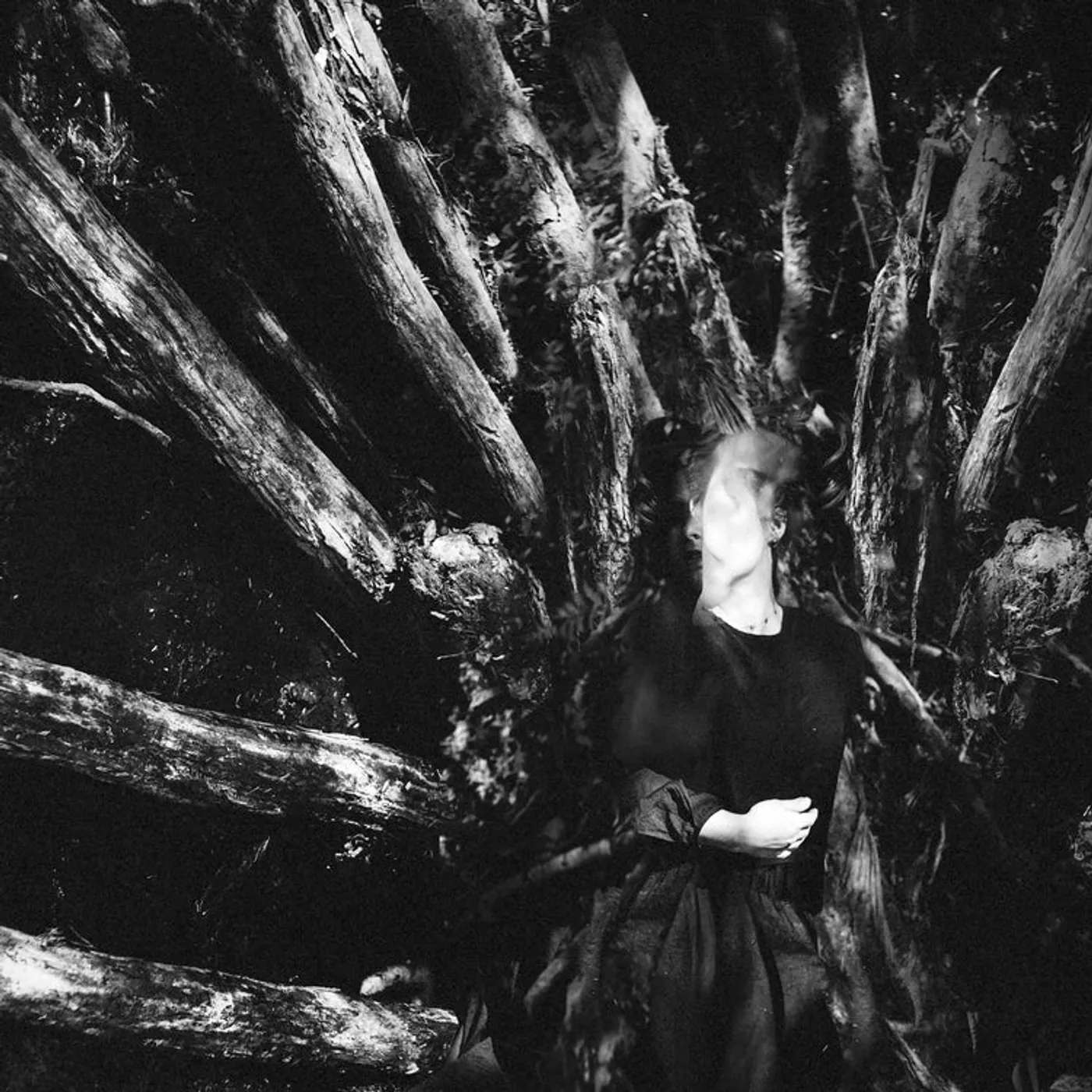 Biglove LP - Crusaders Of Joy (Vinyl)