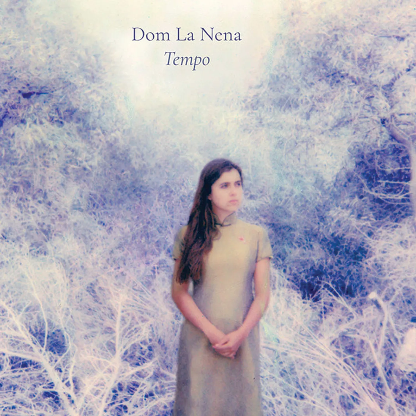Dom La Nena LP - Tempo (Vinyl)