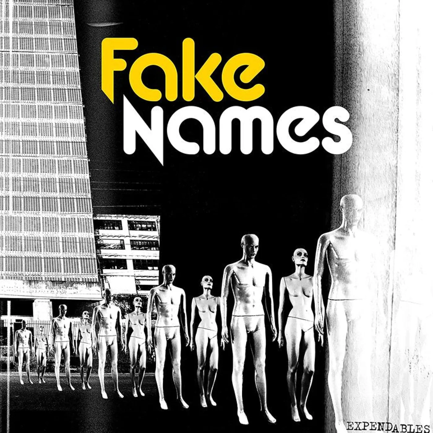Fake Names LP - Expendables (Vinyl)