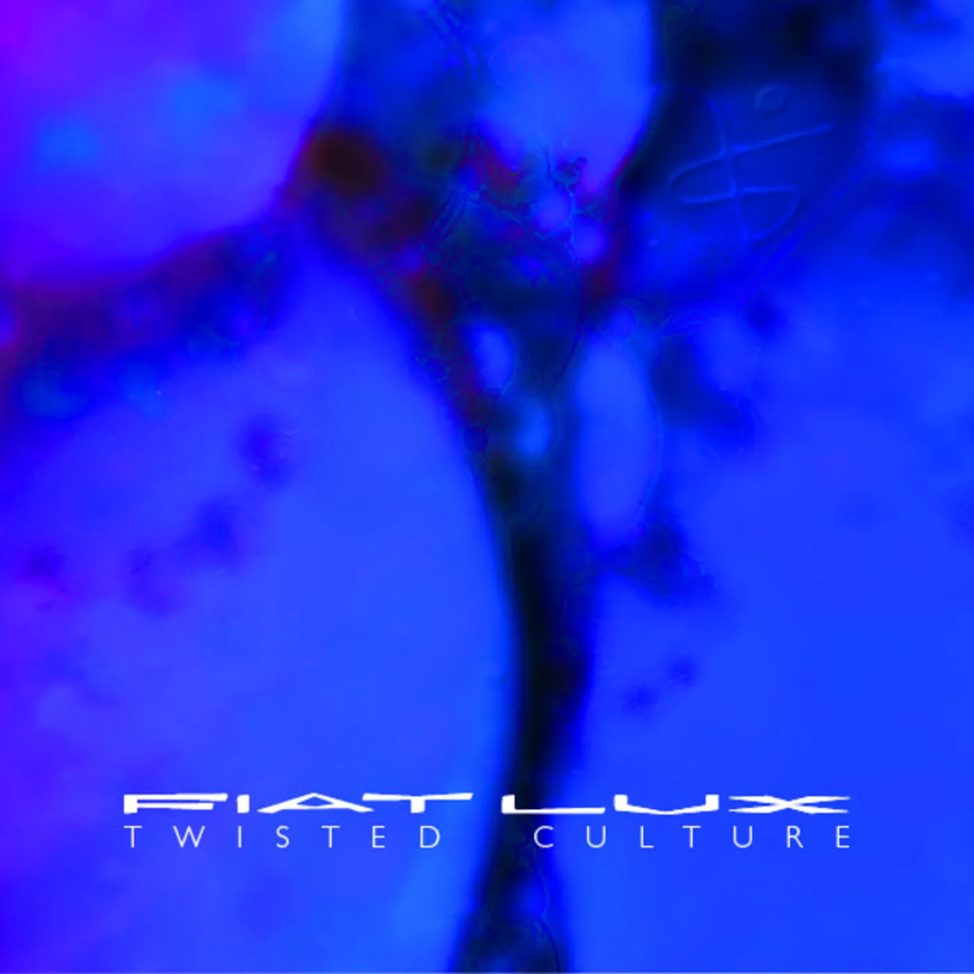 Fiat Lux LP - Twisted Culture (Vinyl)
