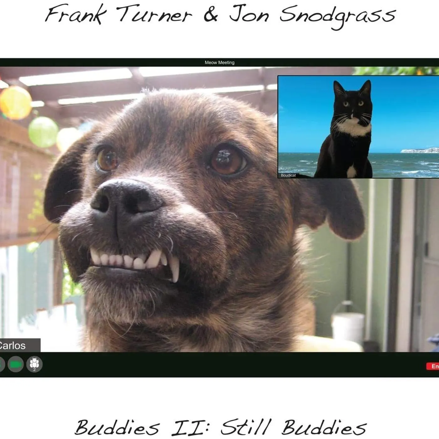 Frank Turner & Jon Snodgrass LP - Buddies Ii: Still Buddies (Vinyl)