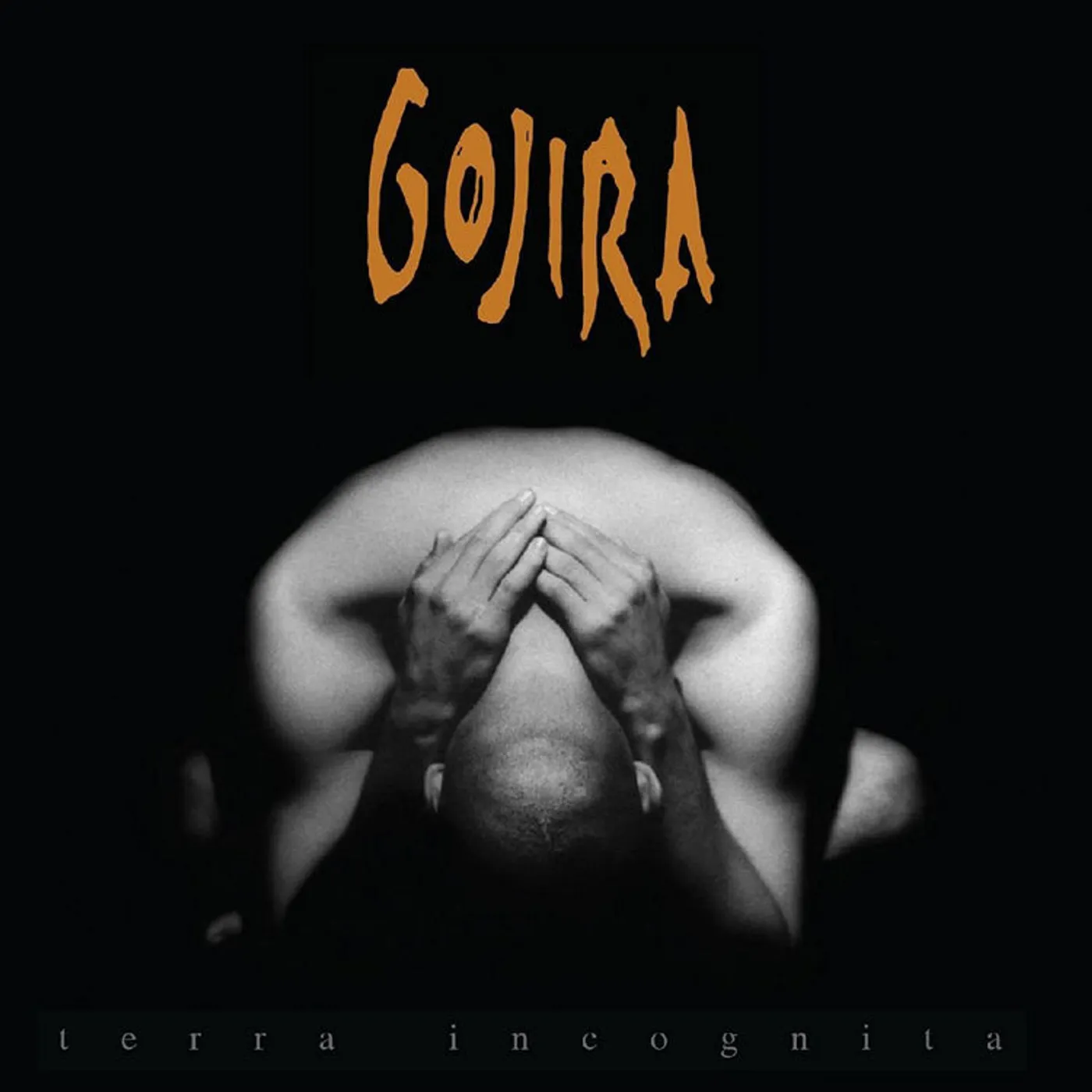 Gojira LP - Terra Incognita (Vinyl)