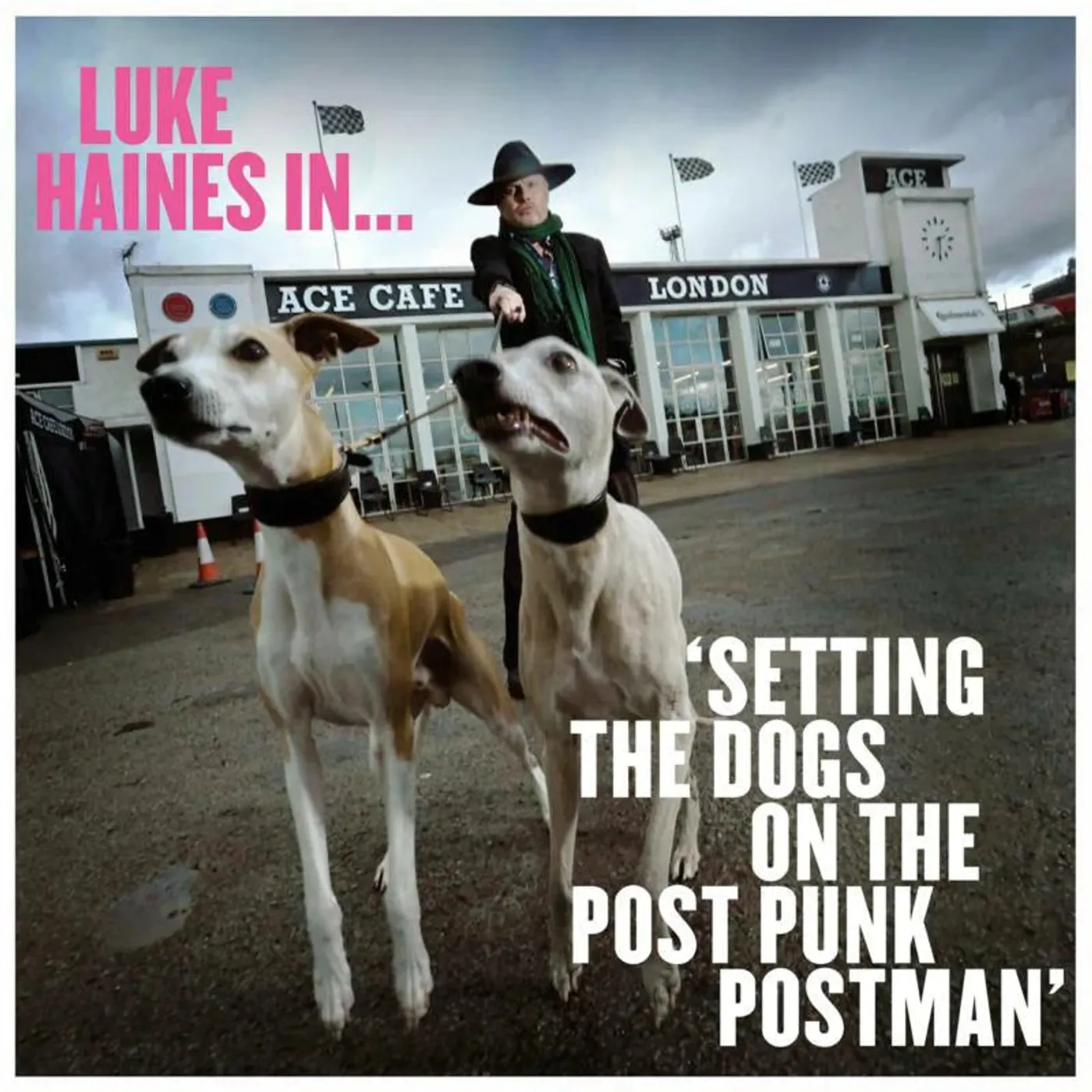 Luke Haines LP - Luke Haines In...Setting The D (Vinyl)