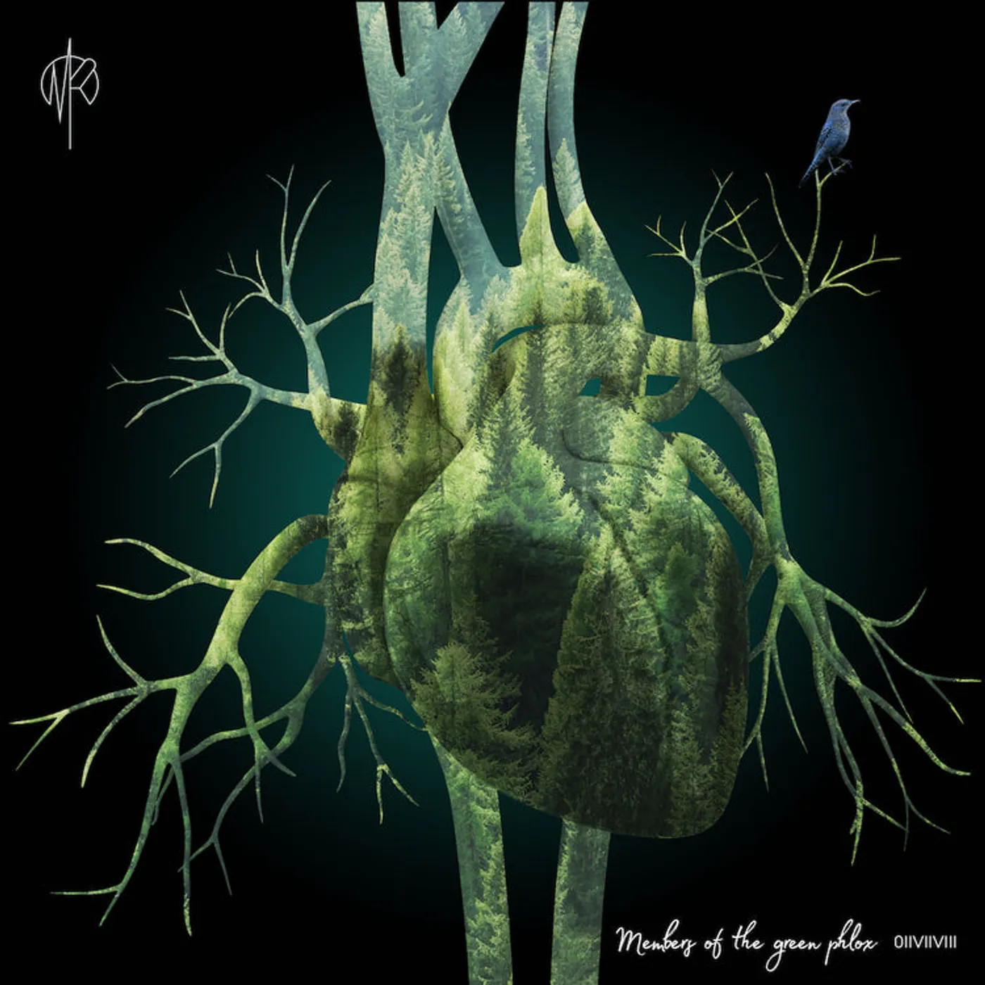 Martin Rubashov LP - Members Of The Green Phlox (Vinyl)