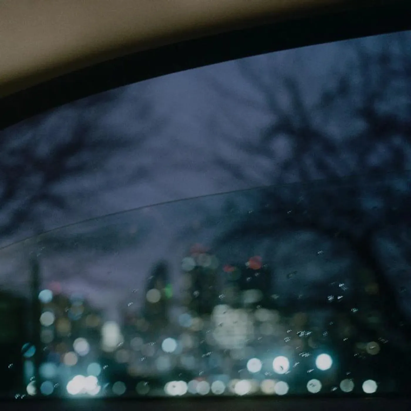 Natural Wonder Beauty Concept Brand Page