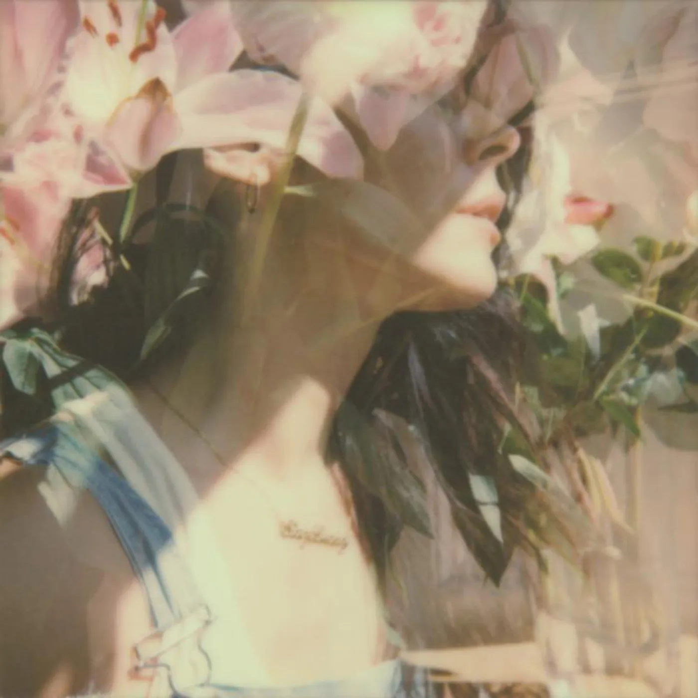Nerina Pallot LP - Stay Lucky (Vinyl)