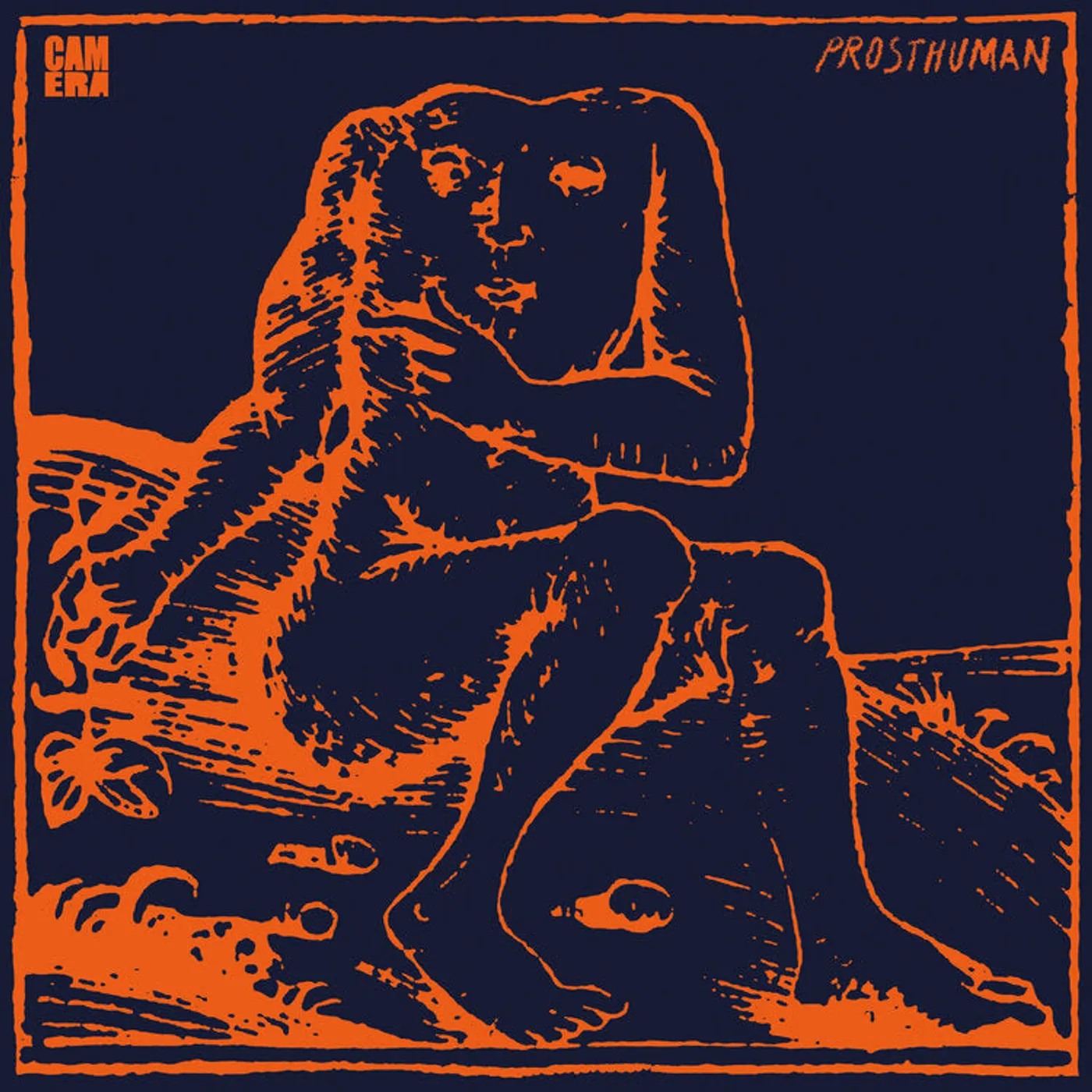 Camera LP - Prosthuman (Vinyl)