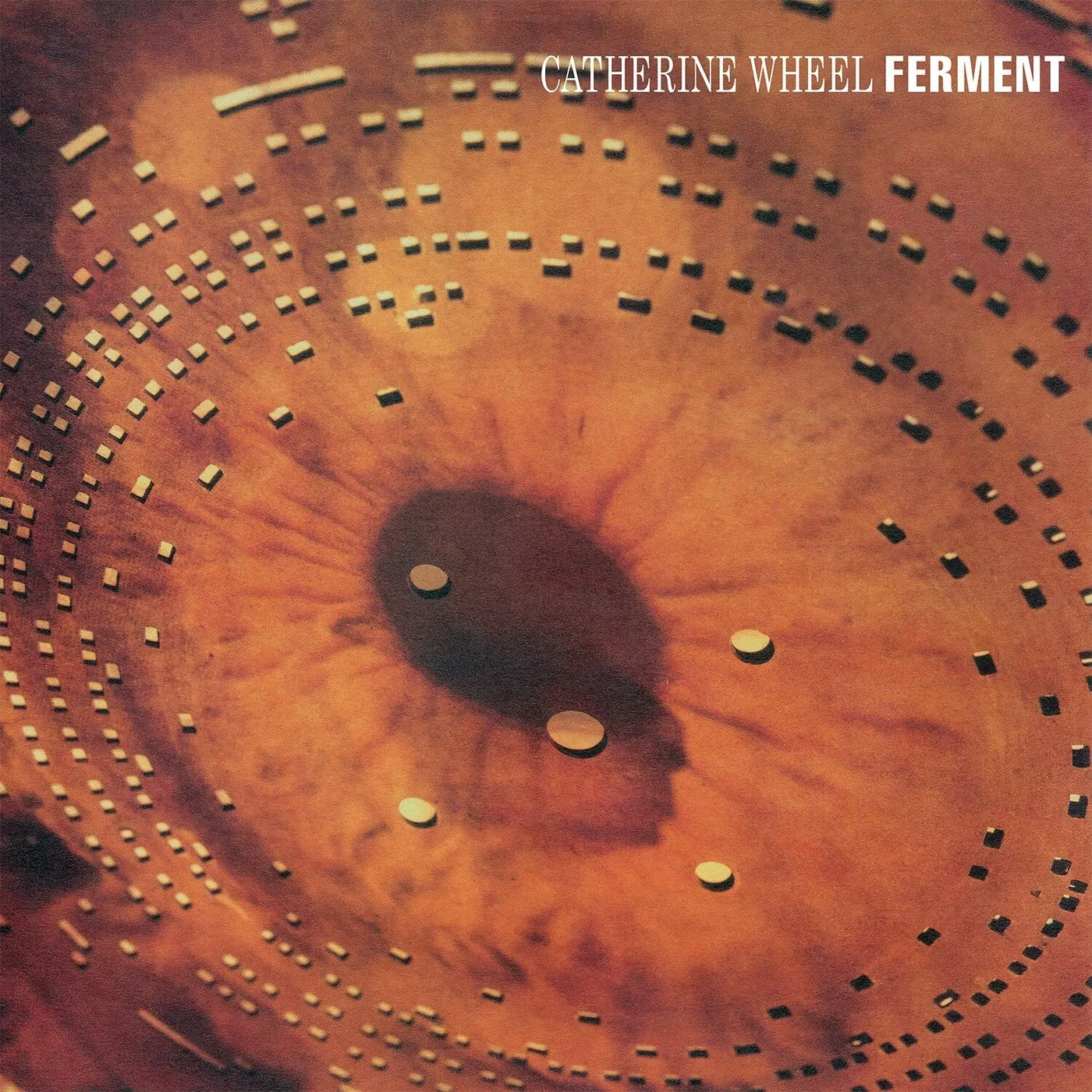 Catherine Wheel LP - Ferment (Vinyl)