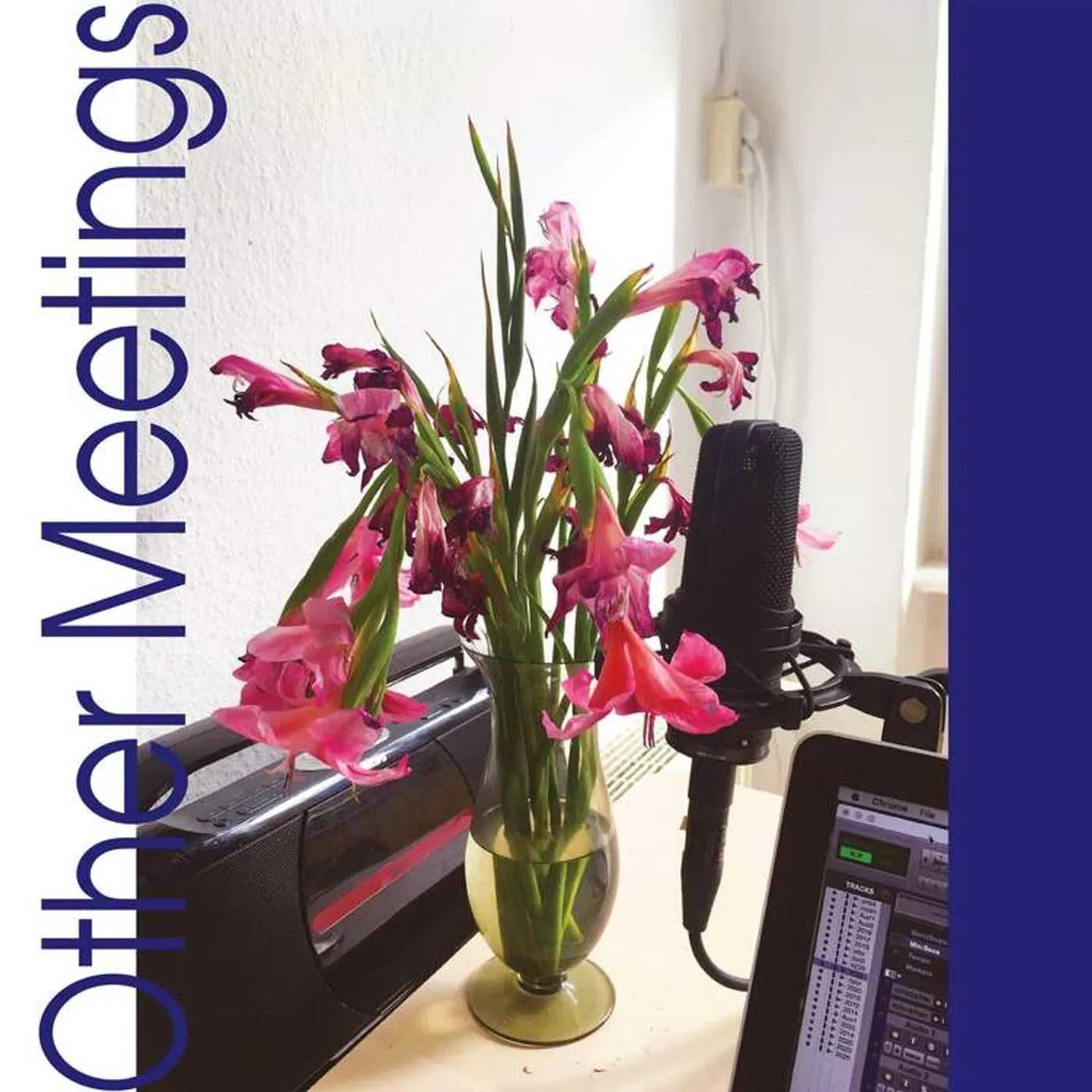 crys cole LP - Other Meetings (Vinyl)