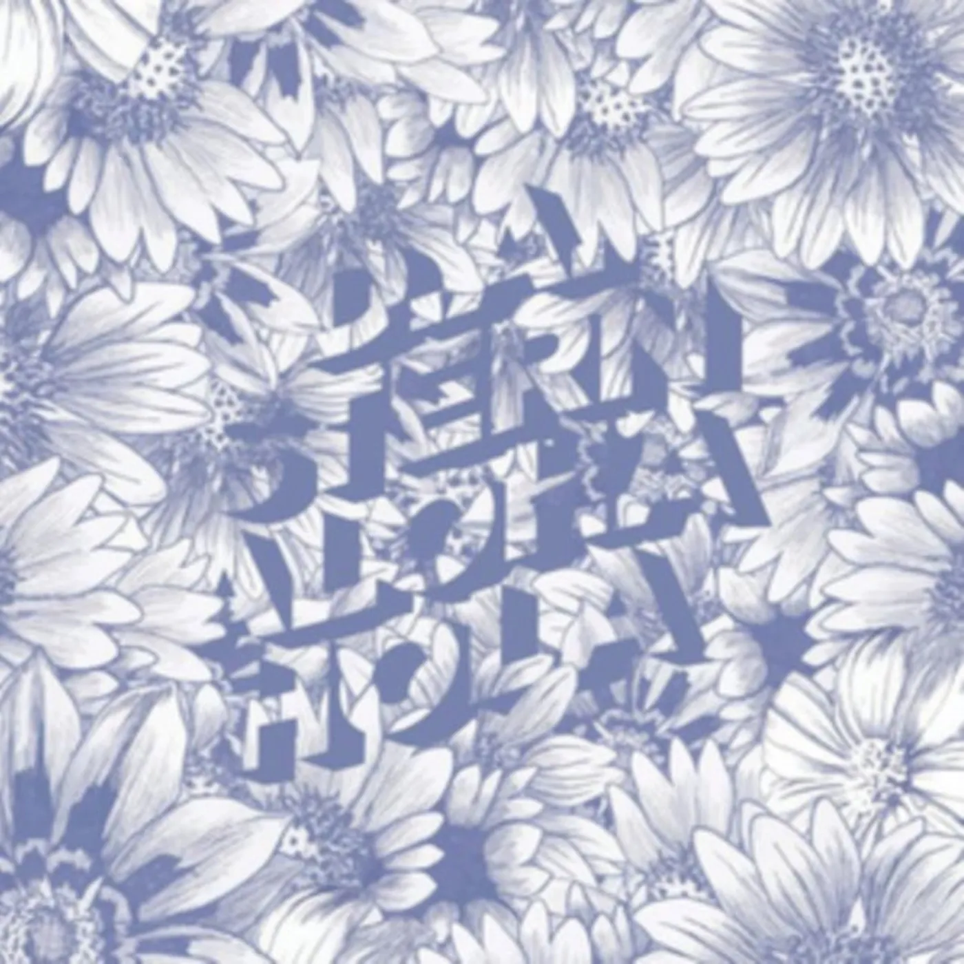 D.A. Stern LP - Aloha Hola (Vinyl)