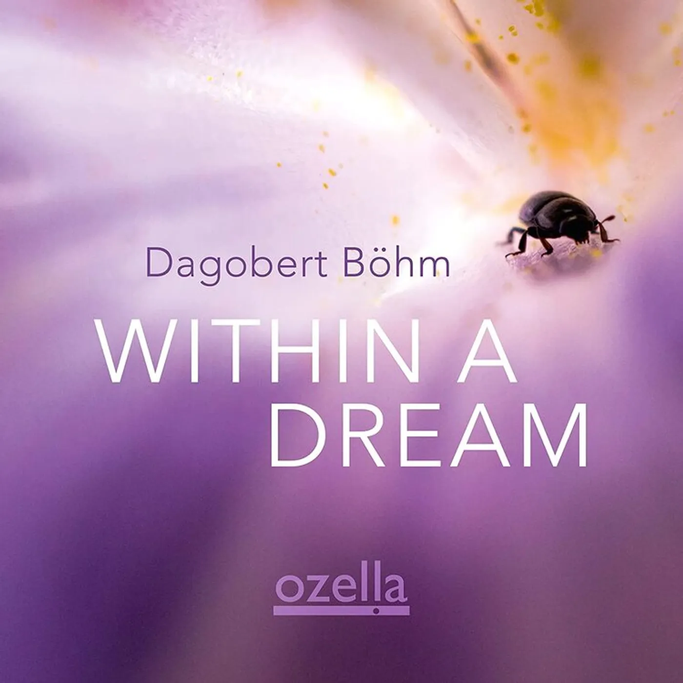 Dagobert Böhm LP - Within A Dream (Vinyl)