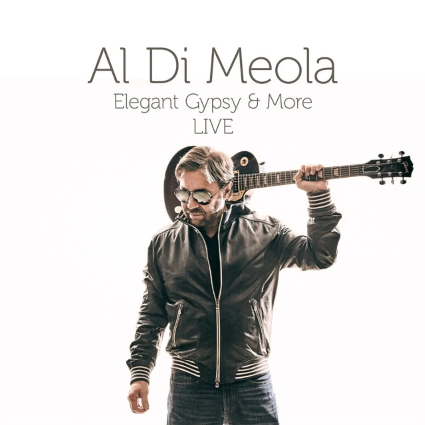 Al Di Meola LP - Elegant Gypsy & More (Vinyl)