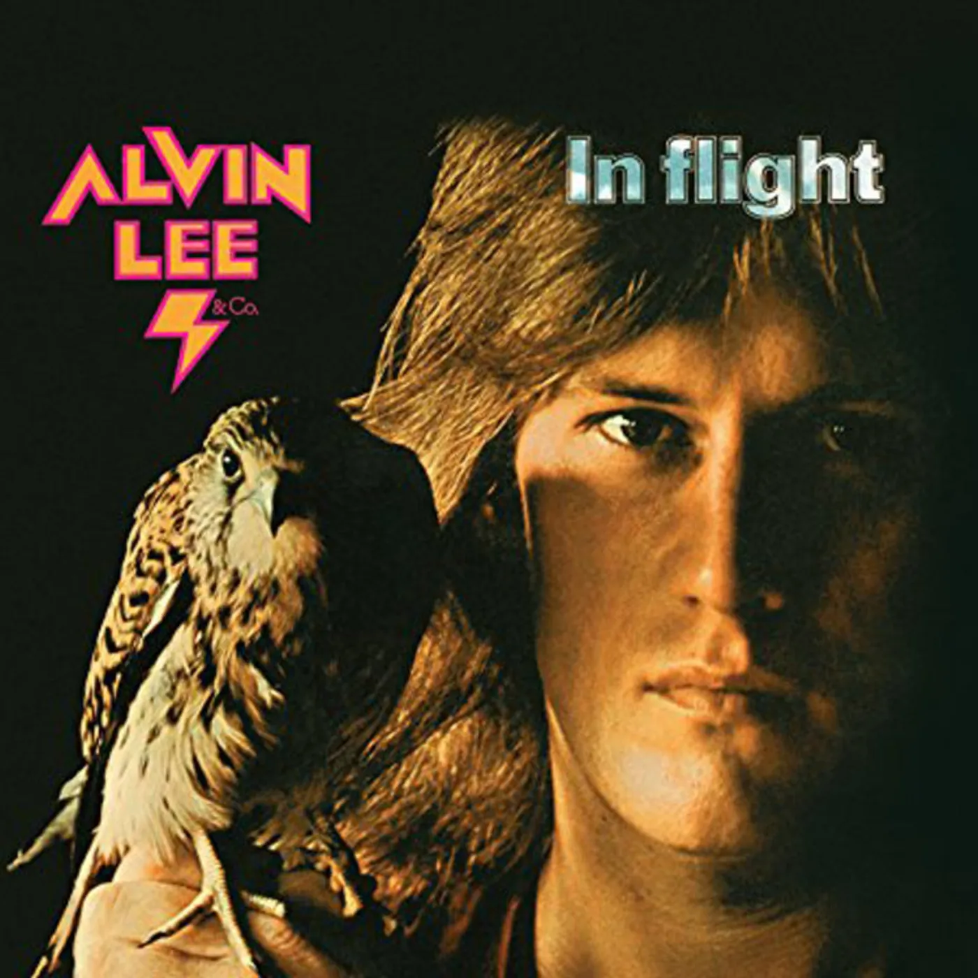 Alvin Lee & Co. LP - In Flight (Vinyl)