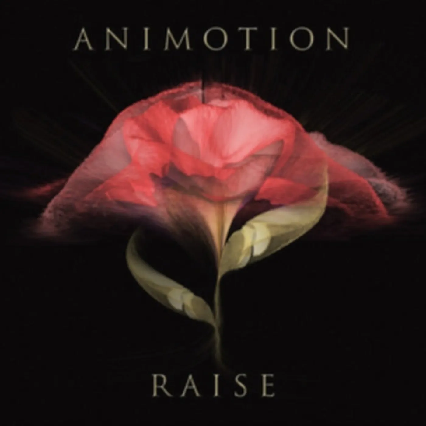 Animotion LP - Raise Your Expectations (Vinyl)