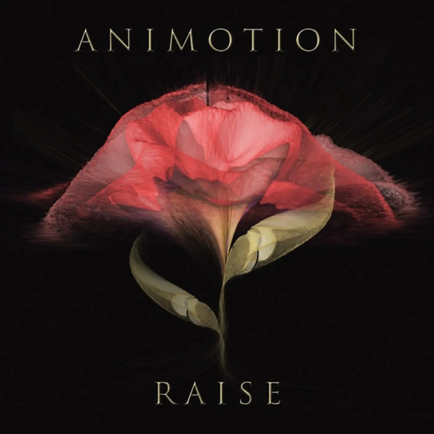 Animotion LP - Raise Your Expectations (Vinyl)