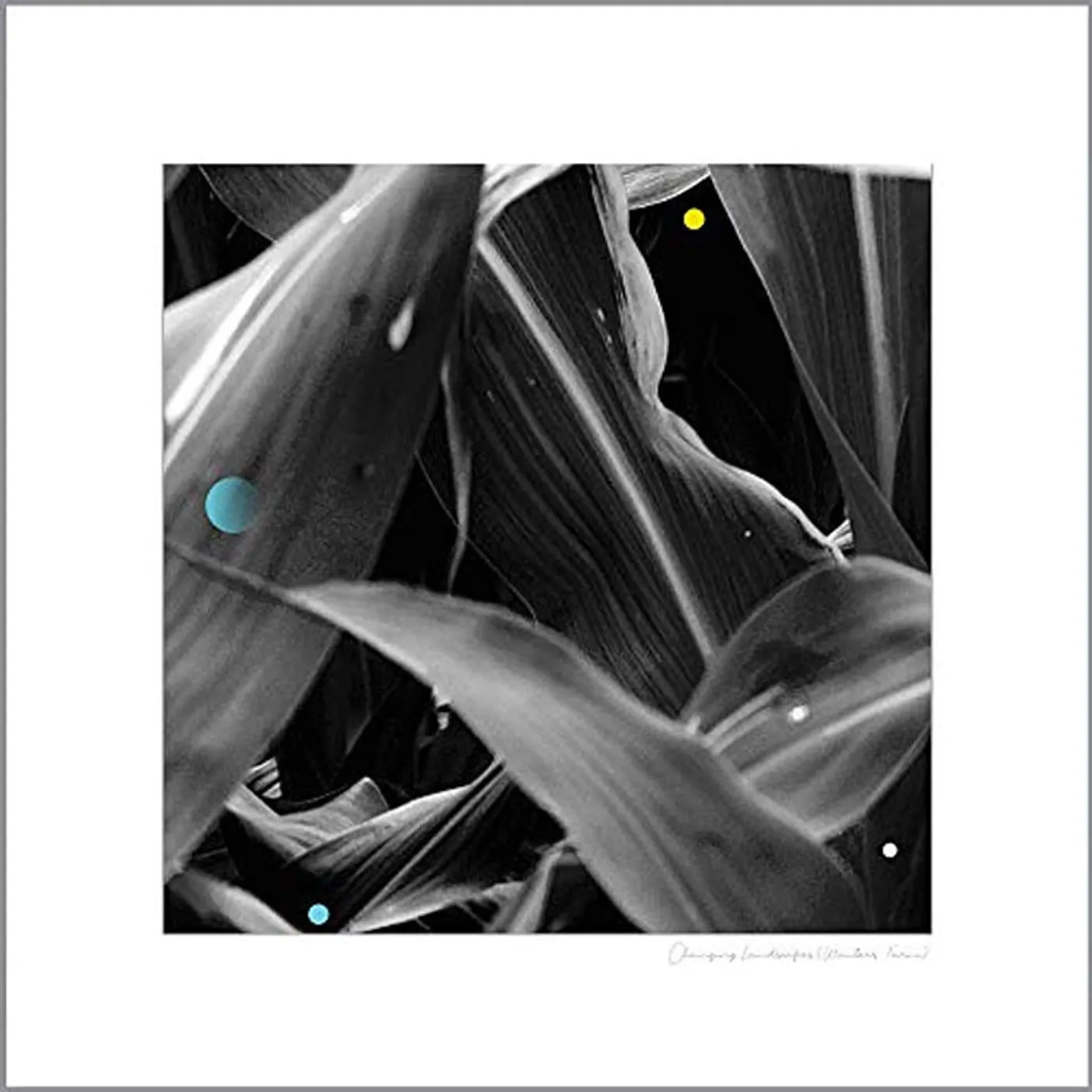 Arthur King LP - Changing Landscapes (Wauters F (Vinyl)