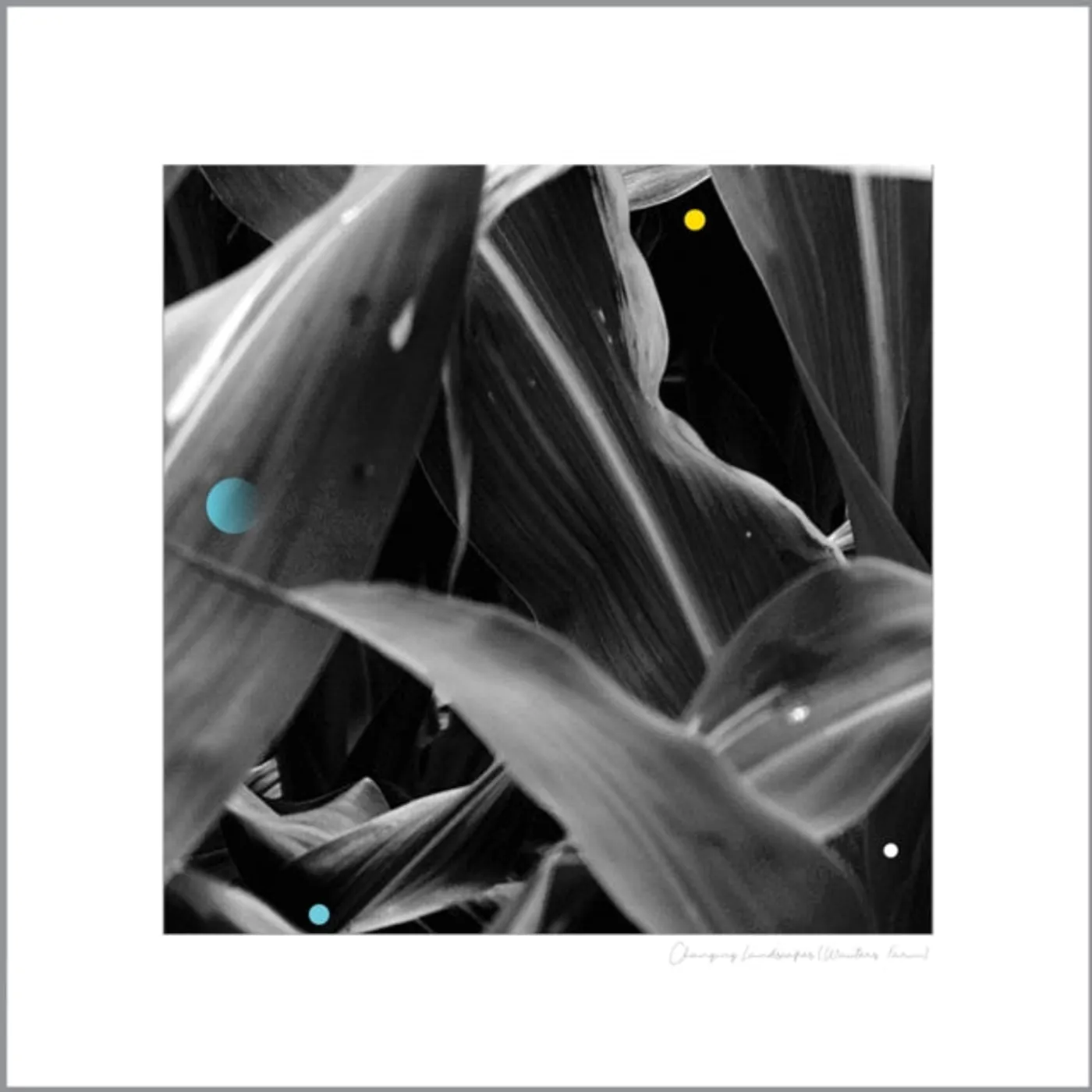 Arthur King LP - Changing Landscapes (Wauters F (Vinyl)