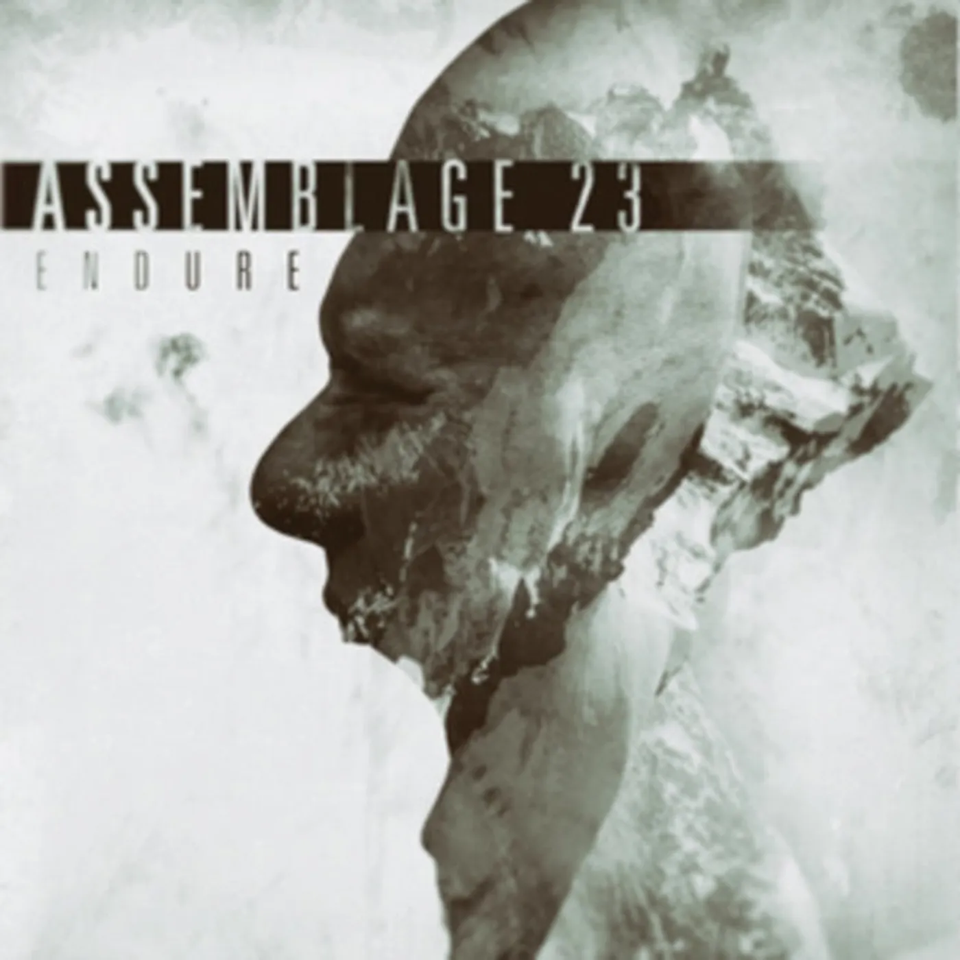 Assemblage 23 LP - Endure (Vinyl)