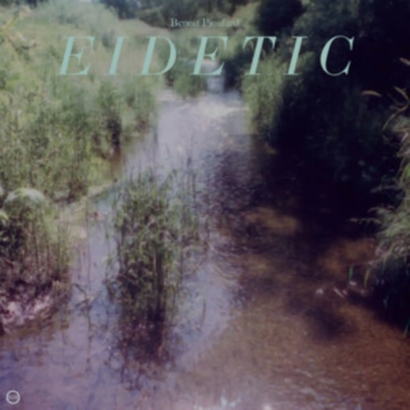 Benoît Pioulard LP - Eidetic (Vinyl)