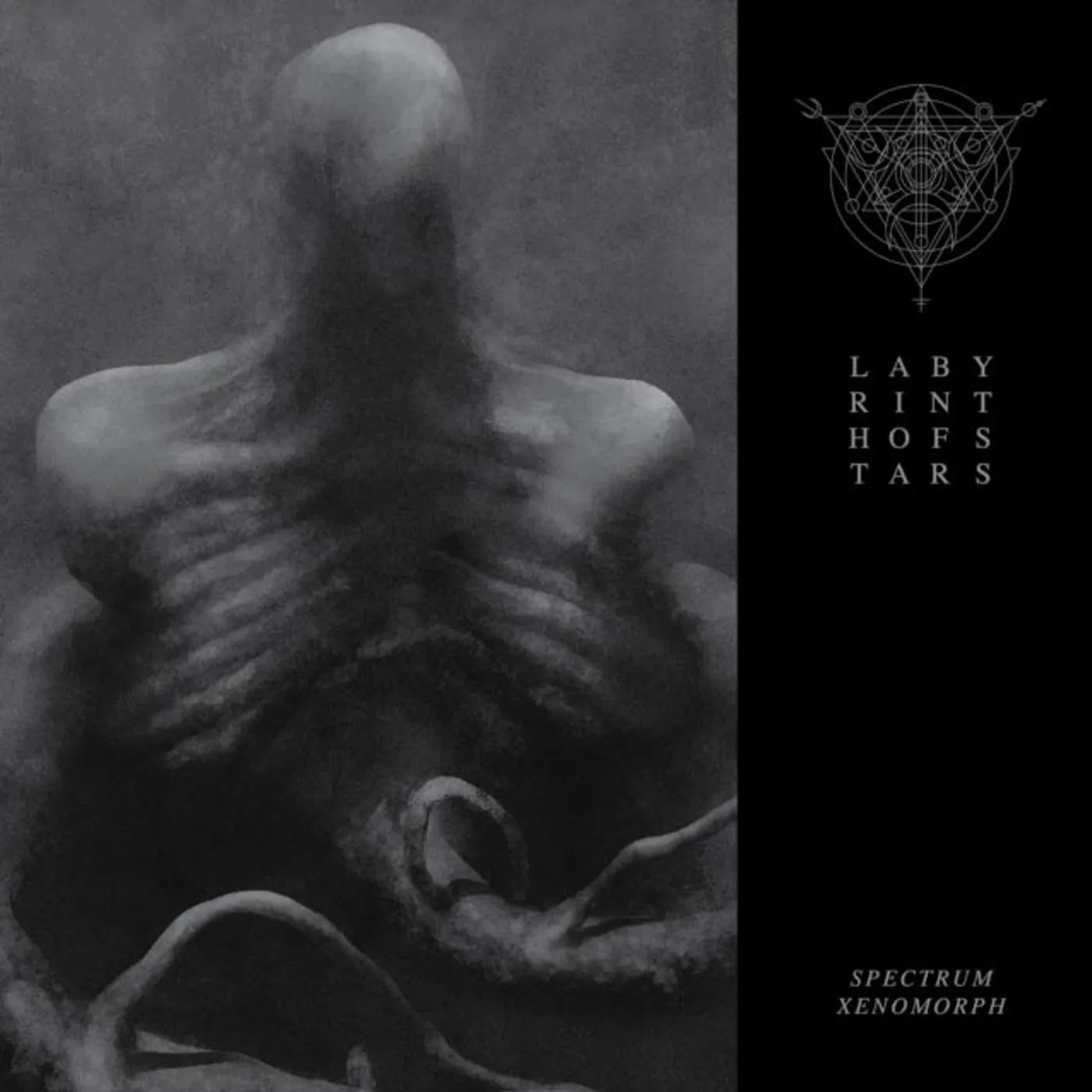 Labyrinth Of Stars LP - Spectrum Xenomorph (Vinyl)