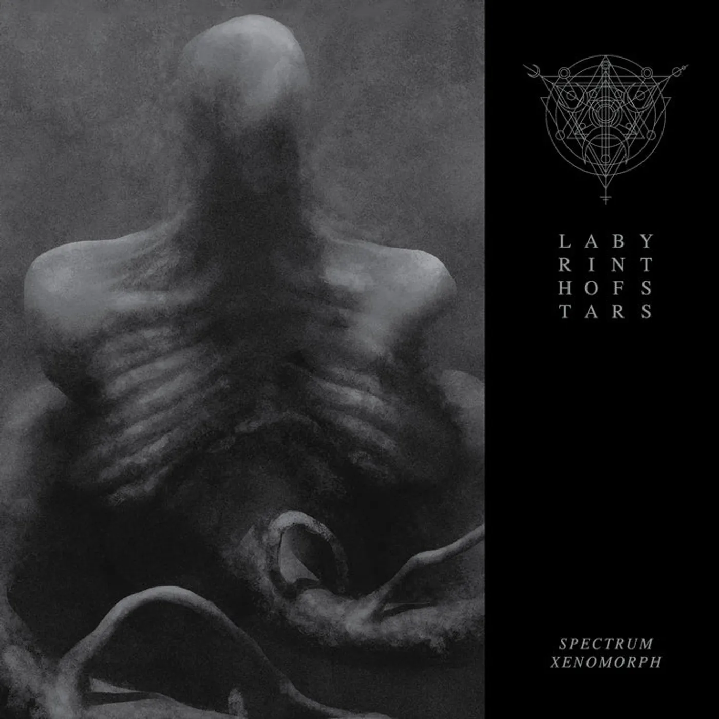 Labyrinth Of Stars LP - Spectrum Xenomorph (Vinyl)
