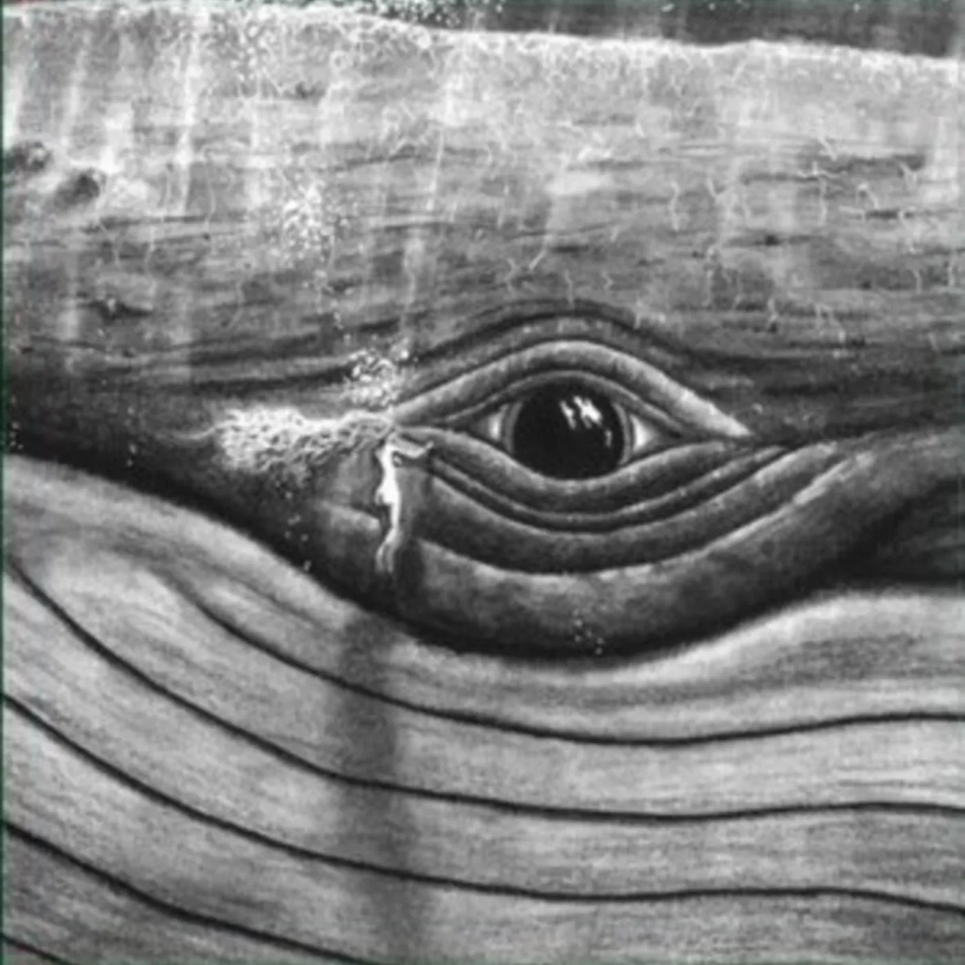 Lizabett Russo LP - While I Sit And Watch This Tre