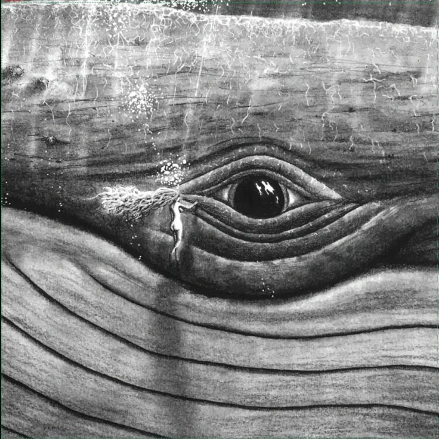 Lizabett Russo LP - While I Sit And Watch This Tre