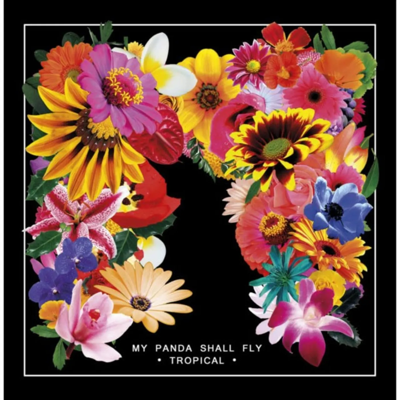 My Panda Shall Fly LP - Tropical (Vinyl)