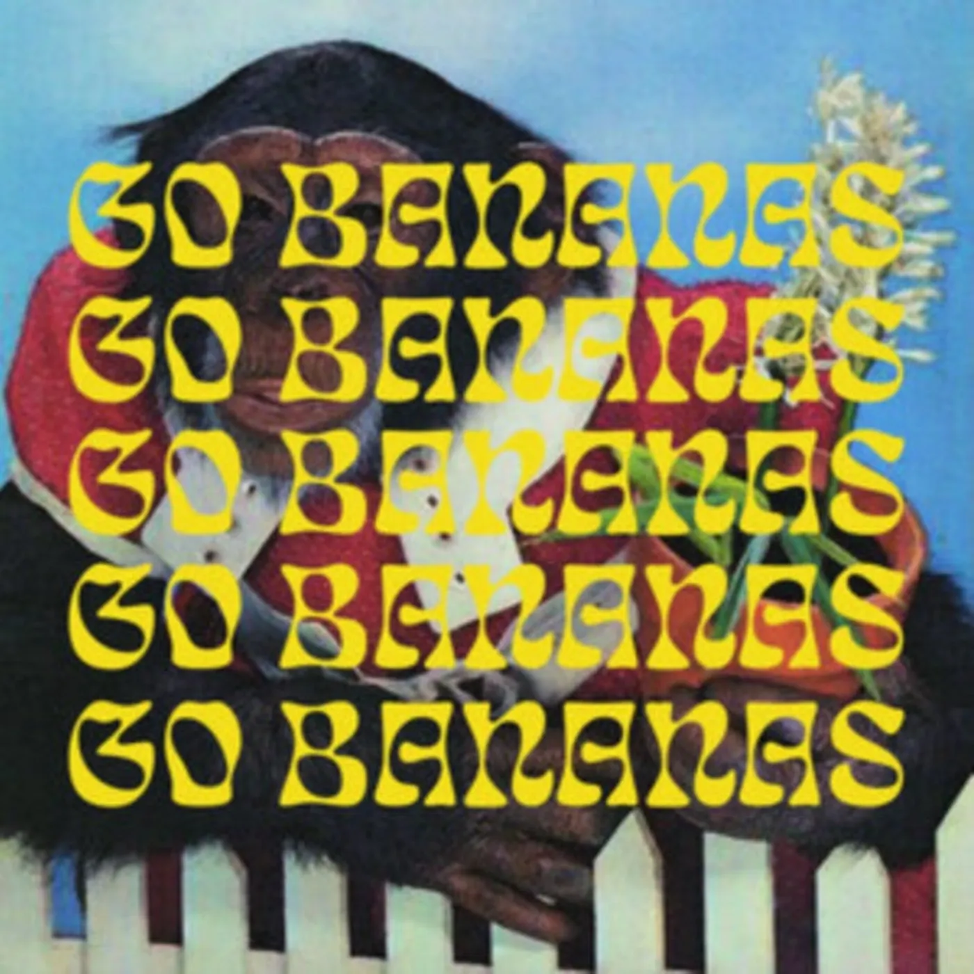 My Name Is Ian LP - Go Banana Go Bananas Go Bananas Go Bananas Go Bananas (Vinyl)