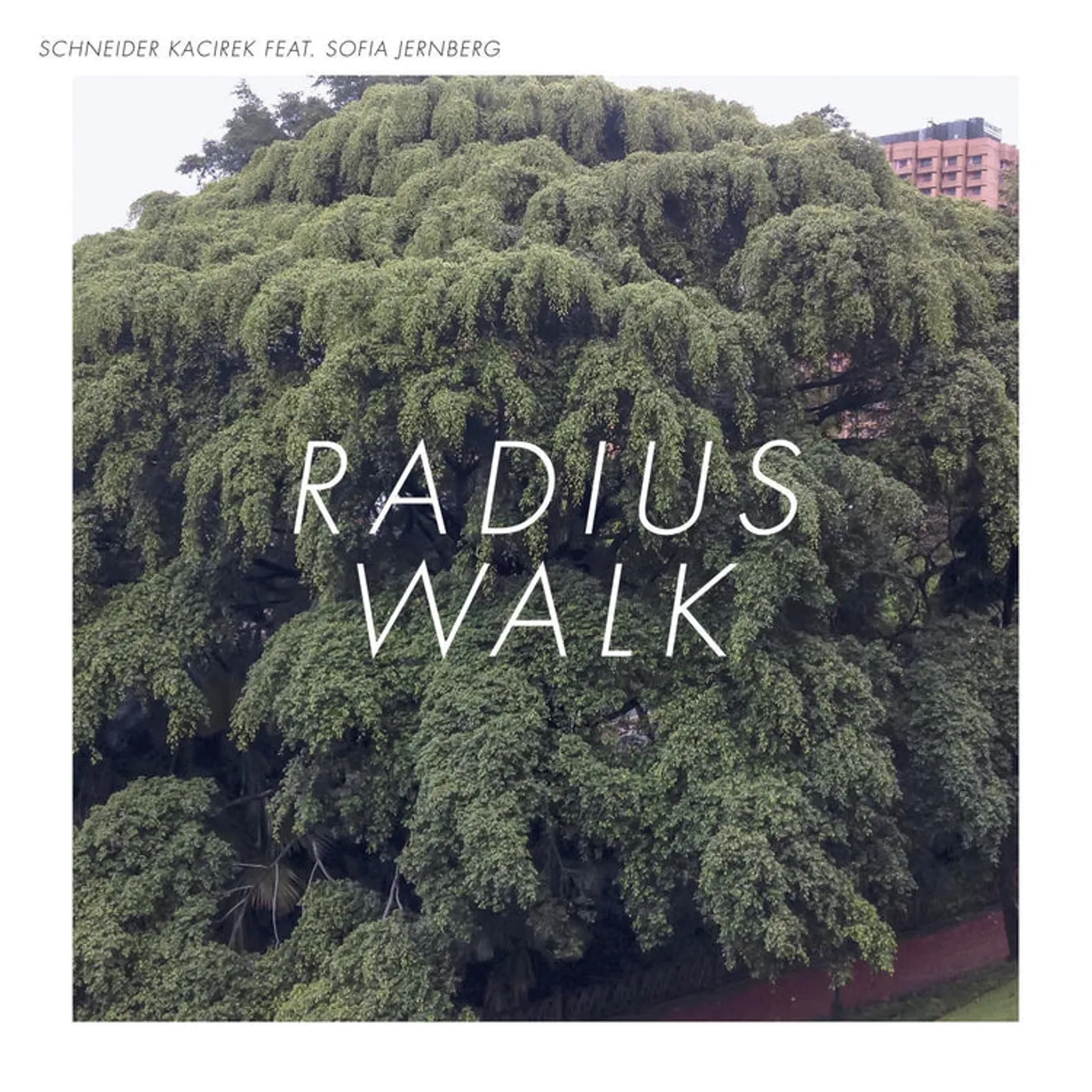Schneider Kacirek LP - Radius Walk (Vinyl)