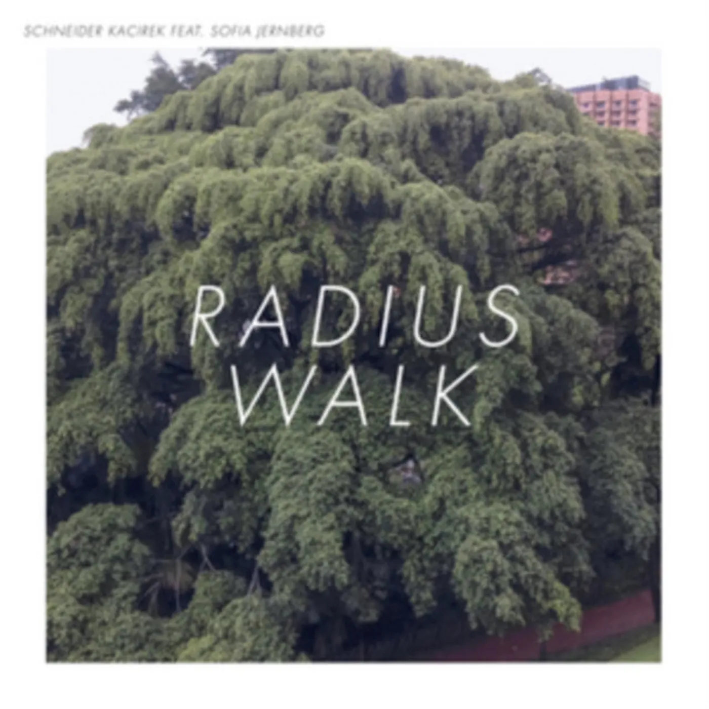 Schneider Kacirek LP - Radius Walk (Vinyl)
