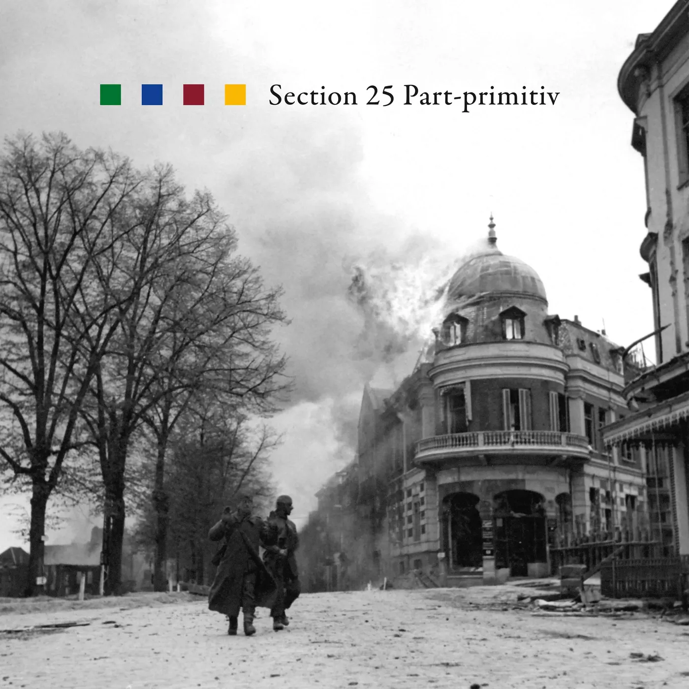Section 25 LP - Part-Primitiv (Vinyl)
